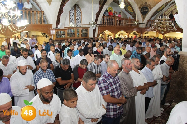 3eed ad7a akber 0510 (23).JPG